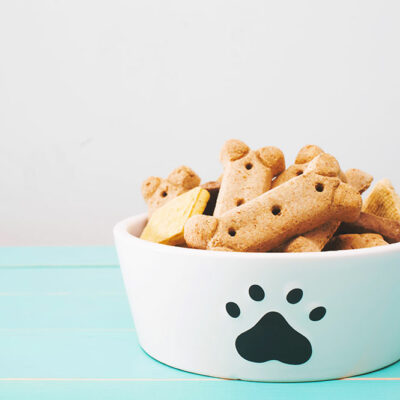 8 Healthy No-Cook Treats for Dogs