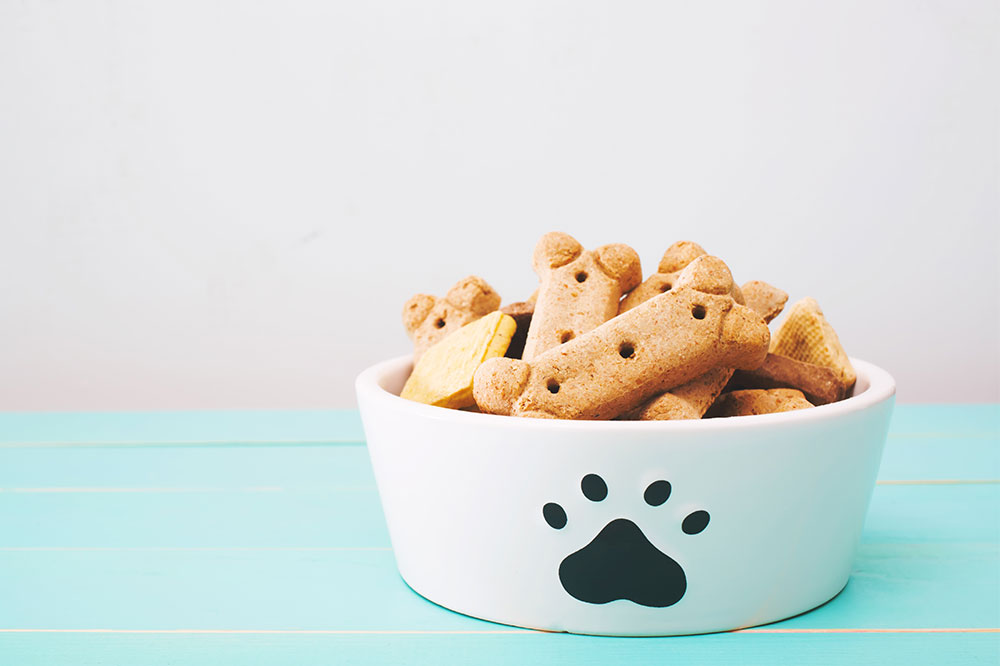 8 Healthy No-Cook Treats for Dogs